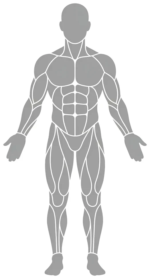 Body front view